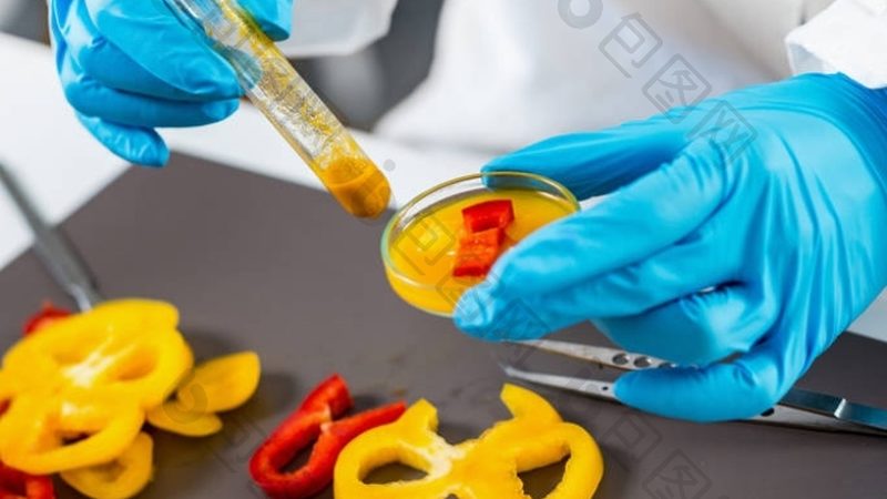 米面制品家庭自制，掌握这些技巧轻松上手